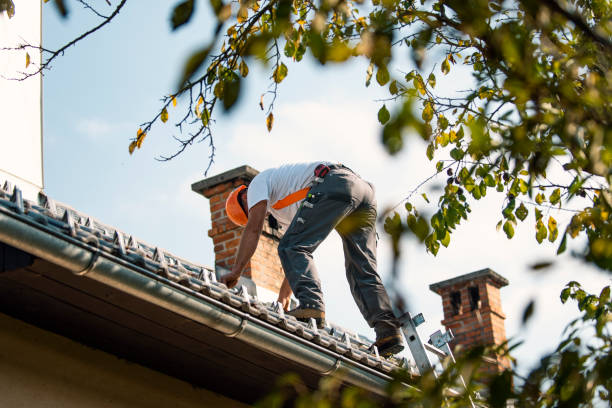 Best Tile Roofing Contractor  in Crothersville, IN