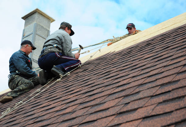 Best Metal Roofing Contractor  in Crothersville, IN
